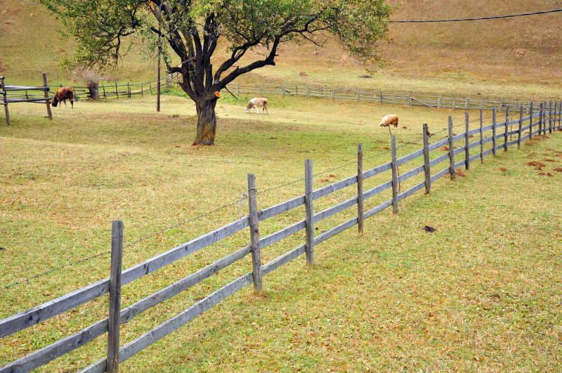 Farm Fence