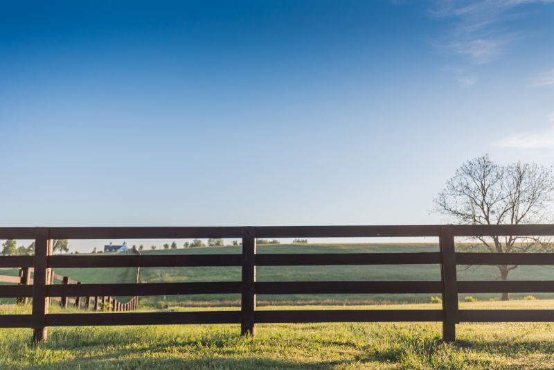 Split Rail Fence Installation detail